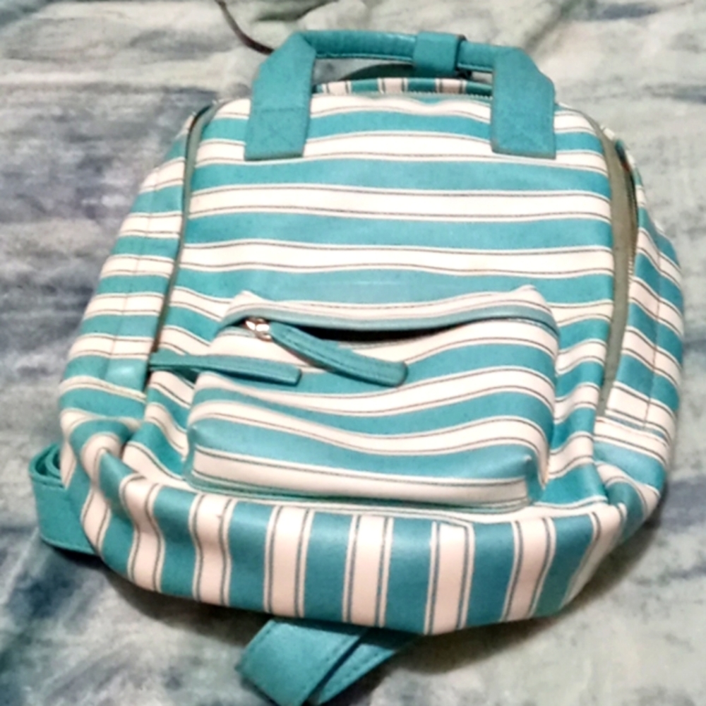 It is a blue stripped blue and white purse